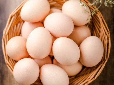 瀘州土雞蛋批發